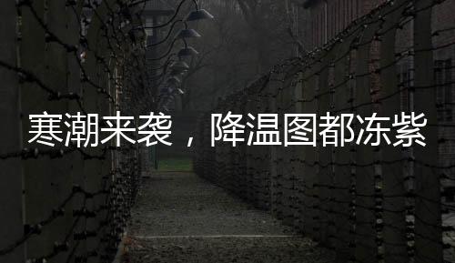 寒潮來襲，降溫圖都凍紫了——天氣預(yù)警與應(yīng)對指南