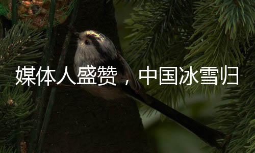 媒體人盛贊，中國冰雪歸化策略取得巨大成功