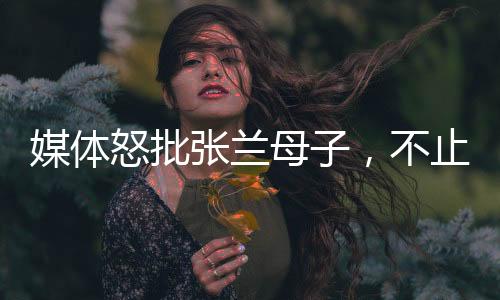 媒體怒批張?zhí)m母子，不止大S被傷害