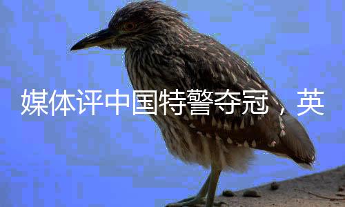 媒體評(píng)中國(guó)特警奪冠，英勇無(wú)畏，技驚四座