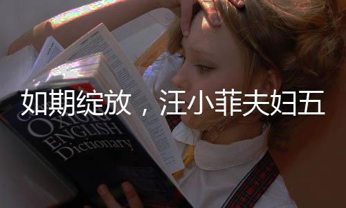 如期綻放，汪小菲夫婦五月婚禮盛大舉行