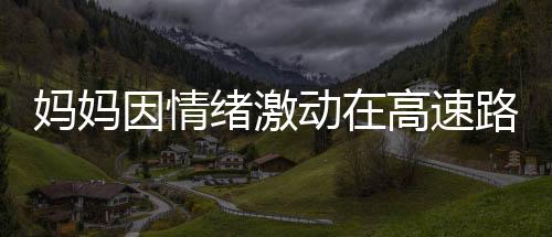 媽媽因情緒激動在高速路邊停車下車打孩子，引發(fā)社會關(guān)注
