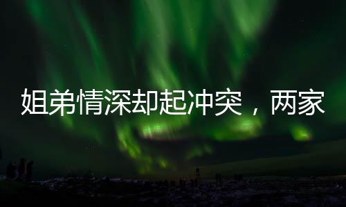 姐弟情深卻起沖突，兩家人見面引發(fā)孩子間的爭斗