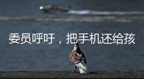 委員呼吁，把手機(jī)還給孩子——關(guān)于數(shù)字化時(shí)代的兒童教育探討