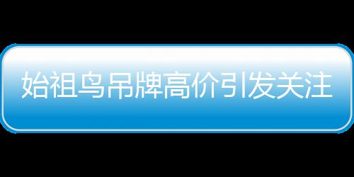 始祖鳥吊牌高價引發(fā)關(guān)注，一張吊牌被炒到300元