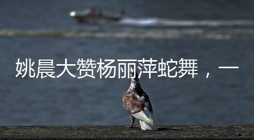 姚晨大贊楊麗萍蛇舞，一次舞蹈藝術(shù)的熱烈碰撞