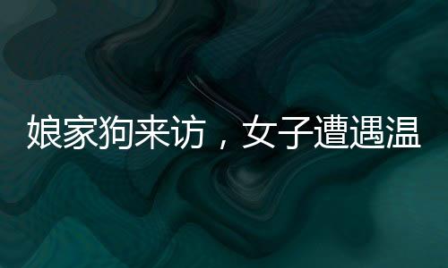 娘家狗來訪，女子遭遇溫情與現(xiàn)實(shí)的碰撞
