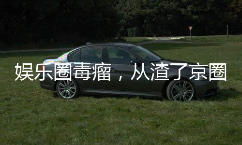 娛樂圈毒瘤，從渣了京圈格格開始