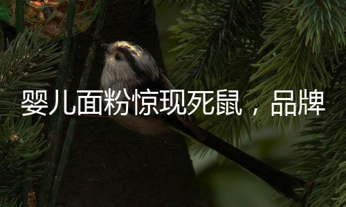 嬰兒面粉驚現(xiàn)死鼠，品牌方緊急要求檢測(cè)鼠齡——一次引發(fā)深思的產(chǎn)品質(zhì)量問題
