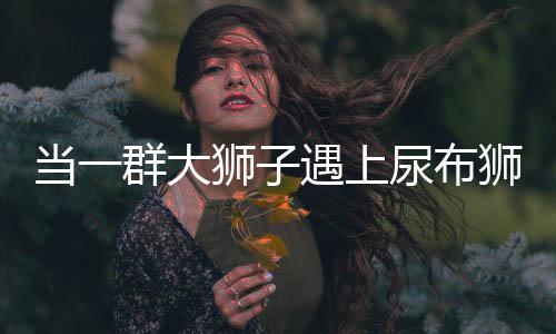 當(dāng)一群大獅子遇上尿布獅，一次獨(dú)特的動(dòng)物觀察經(jīng)歷