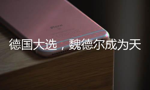 德國(guó)大選，魏德?tīng)柍蔀樘爝x之人？一篇深入解讀的文章