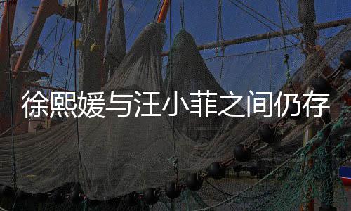 徐熙媛與汪小菲之間仍存750萬財(cái)產(chǎn)糾紛，再度引發(fā)關(guān)注熱議