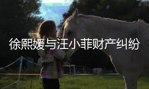 徐熙媛與汪小菲財(cái)產(chǎn)糾紛持續(xù)不斷，涉及金額高達(dá)750萬