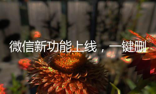 微信新功能上線，一鍵刪除單向好友，輕松清理好友列表