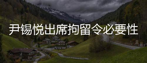 尹錫悅出席拘留令必要性審查，深入剖析法律執(zhí)行的正當(dāng)性