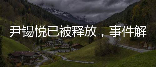 尹錫悅已被釋放，事件解讀與后續(xù)關(guān)注