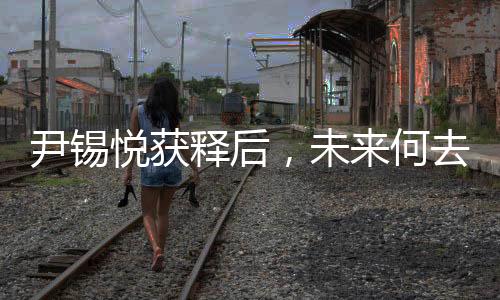 尹錫悅獲釋后，未來何去何從——關于其職位穩(wěn)定性的探討