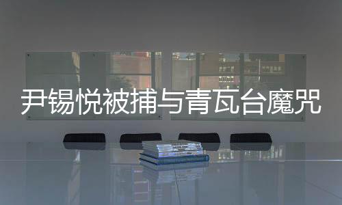 尹錫悅被捕與青瓦臺魔咒揭秘，多維度視角解析