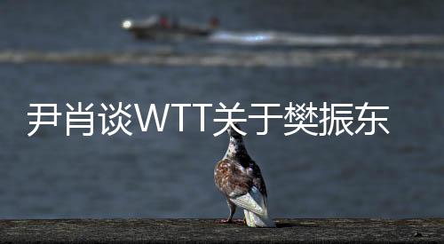 尹肖談WTT關(guān)于樊振東事件的言論，顛倒黑白引爭議
