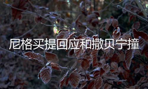 尼格買提回應和撒貝寧撞臉結(jié)界獸事件