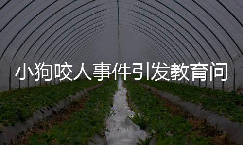 小狗咬人事件引發(fā)教育問題，爺爺采取特殊方式教育小狗