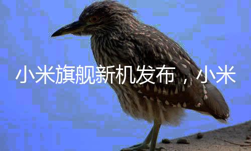 小米旗艦新機發(fā)布，小米15Ultra雙拼色引領潮流新風尚