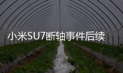 小米SU7斷軸事件后續(xù)，車主承認(rèn)欺瞞網(wǎng)友，引發(fā)廣泛討論與反思