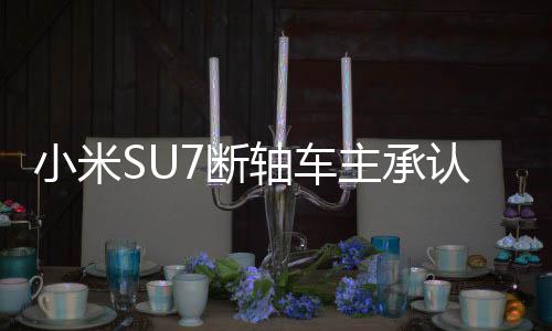 小米SU7斷軸車主承認(rèn)欺瞞網(wǎng)友事件調(diào)查與反思