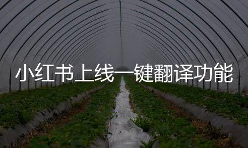 小紅書上線一鍵翻譯功能，全球化時(shí)代的新助力