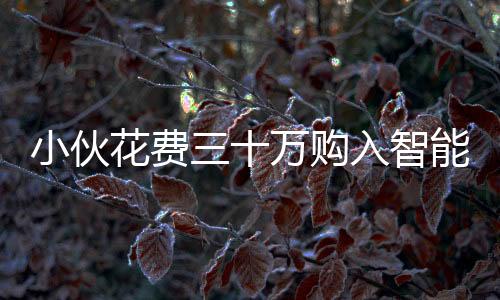 小伙花費三十萬購入智能機器人，對外租賃業(yè)務火爆，一天收入達八千