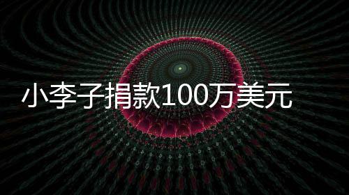 小李子捐款100萬(wàn)美元支援加州山火，助力災(zāi)區(qū)重建