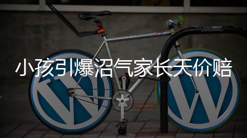 小孩引爆沼氣家長天價賠償傳聞實為謠言，揭開真相，呼吁理智應(yīng)對