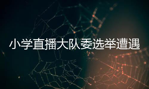 小學(xué)直播大隊委選舉遭遇官腔吐槽，探討民主選舉的真諦與改進(jìn)之道