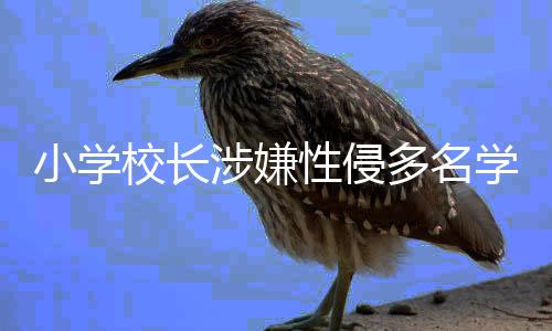 小學(xué)校長(zhǎng)涉嫌性侵多名學(xué)生案二審開(kāi)庭，正義再次受到審視
