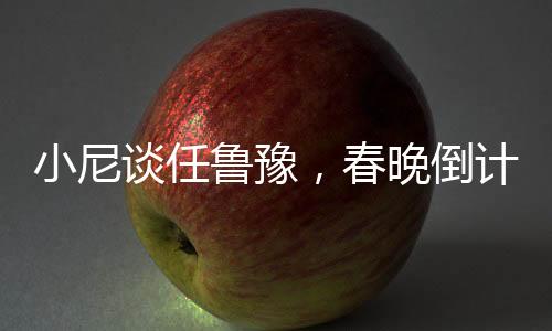 小尼談任魯豫，春晚倒計(jì)時(shí)下的壓力擔(dān)當(dāng)
