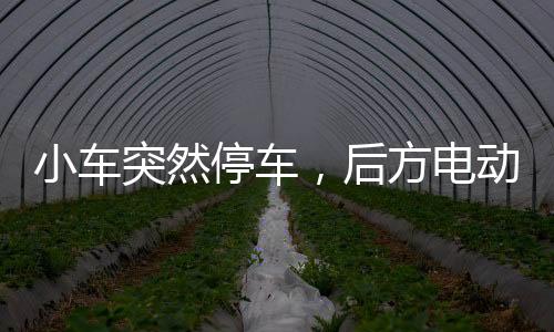 小車突然停車，后方電動(dòng)車意外摔倒事件引發(fā)關(guān)注