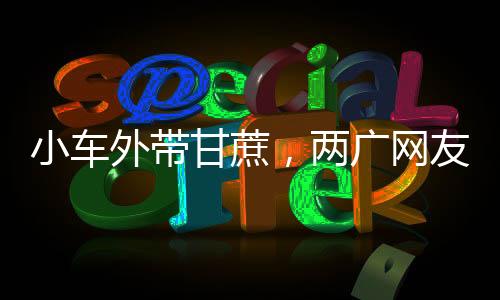 小車外帶甘蔗，兩廣網(wǎng)友解讀意頭