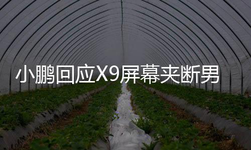 小鵬回應X9屏幕夾斷男童食指事件，揭示事故真相與未來安全措施