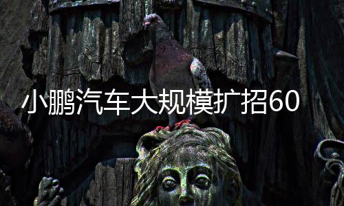 小鵬汽車大規(guī)模擴招6000人，推動新能源汽車產(chǎn)業(yè)邁向新高度