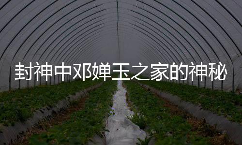 封神中鄧嬋玉之家的神秘面紗，那爾那茜的深度解讀