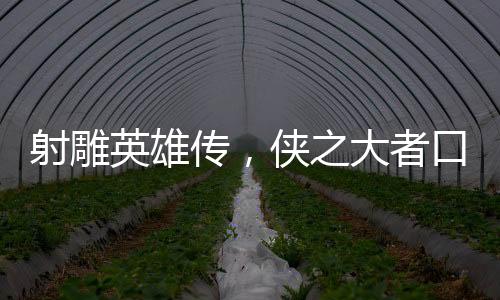 射雕英雄傳，俠之大者口碑綜述