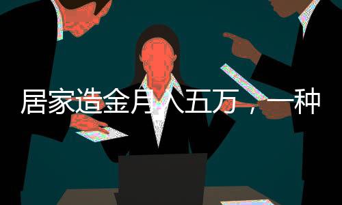 居家造金月入五萬，一種新型居家賺錢模式的探索與實踐