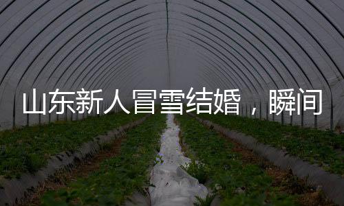 山東新人冒雪結(jié)婚，瞬間白頭，見證真摯愛情