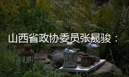 山西省政協(xié)委員張晟駿：推動(dòng)“低空經(jīng)濟(jì)”數(shù)字化、智能化發(fā)展