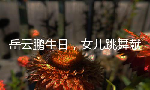岳云鵬生日，女兒跳舞獻(xiàn)愛心，溫馨家庭瞬間感動網(wǎng)友