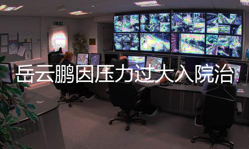 岳云鵬因壓力過(guò)大入院治療，透露身心俱疲引發(fā)關(guān)注