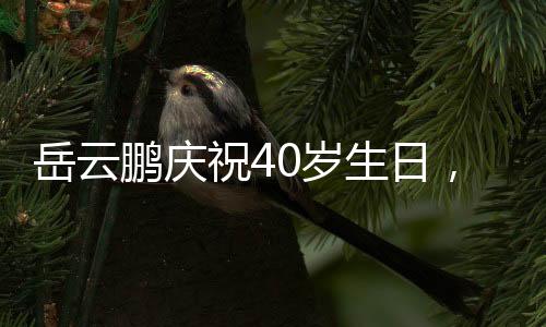 岳云鵬慶祝40歲生日，大女兒罕見(jiàn)露臉——溫馨家庭瞬間記錄