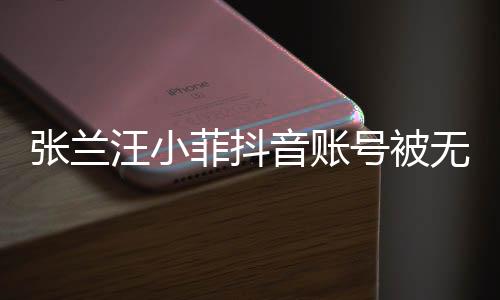張?zhí)m汪小菲抖音賬號被無限期封禁，引發(fā)網(wǎng)友熱議