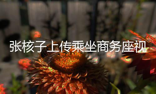 張核子上傳乘坐商務(wù)座視頻，公眾熱議與高端出行新觀察