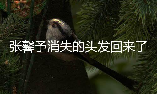 張馨予消失的頭發(fā)回來了，神秘再現(xiàn)背后的故事